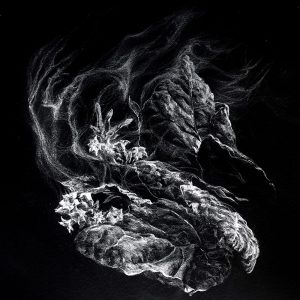 An inverted white on black line drawing of a tobacco plant.