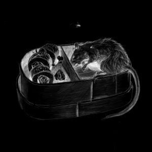 Inverted black and white pencil sketch of a bento box with a dead rat in the main compartment.