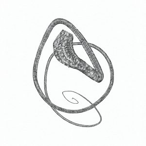 Pointillism illustration of a whip with barbs at its tip.